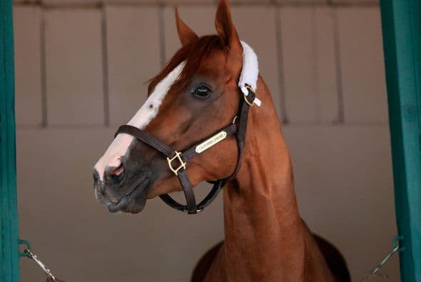 De acuerdo a uno de sus antiguos entrenadores, Chrome tiene un temperamento de ensueño.