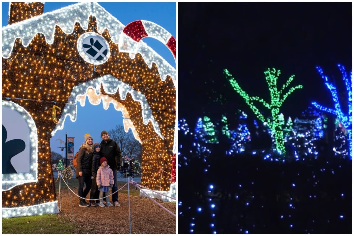 El
<b>Zoológico de Brookfield</b> se llenó con más de 1 millón de luces que adornan estructuras en forma de animalitos para que las personas puedan disfrutar de esta mágica temporada. Con la iluminación, hay música, comida, golosinas, exposición de pan de jengibre iluminadas y una milla con luces de colores en el lago del West Mall del Zoológico.