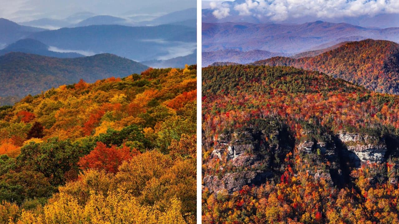 Las hojas de la temporada de otoño pueden ser apreciadas entre los meses de septiembre y noviembre en las montañas de Carolina del Norte.