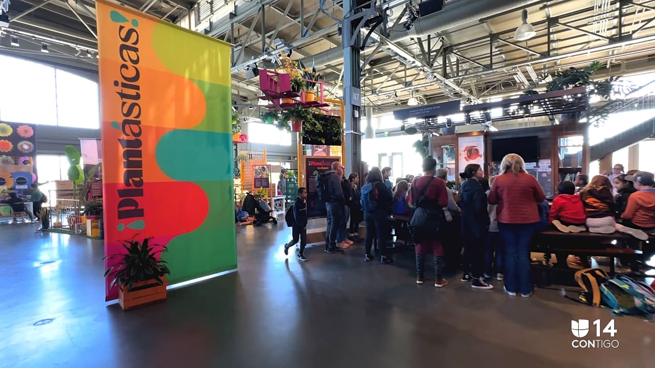 ¡Plantásticas!, la exhibición que te conecta con las plantas en el Exploratorium de San Francisco