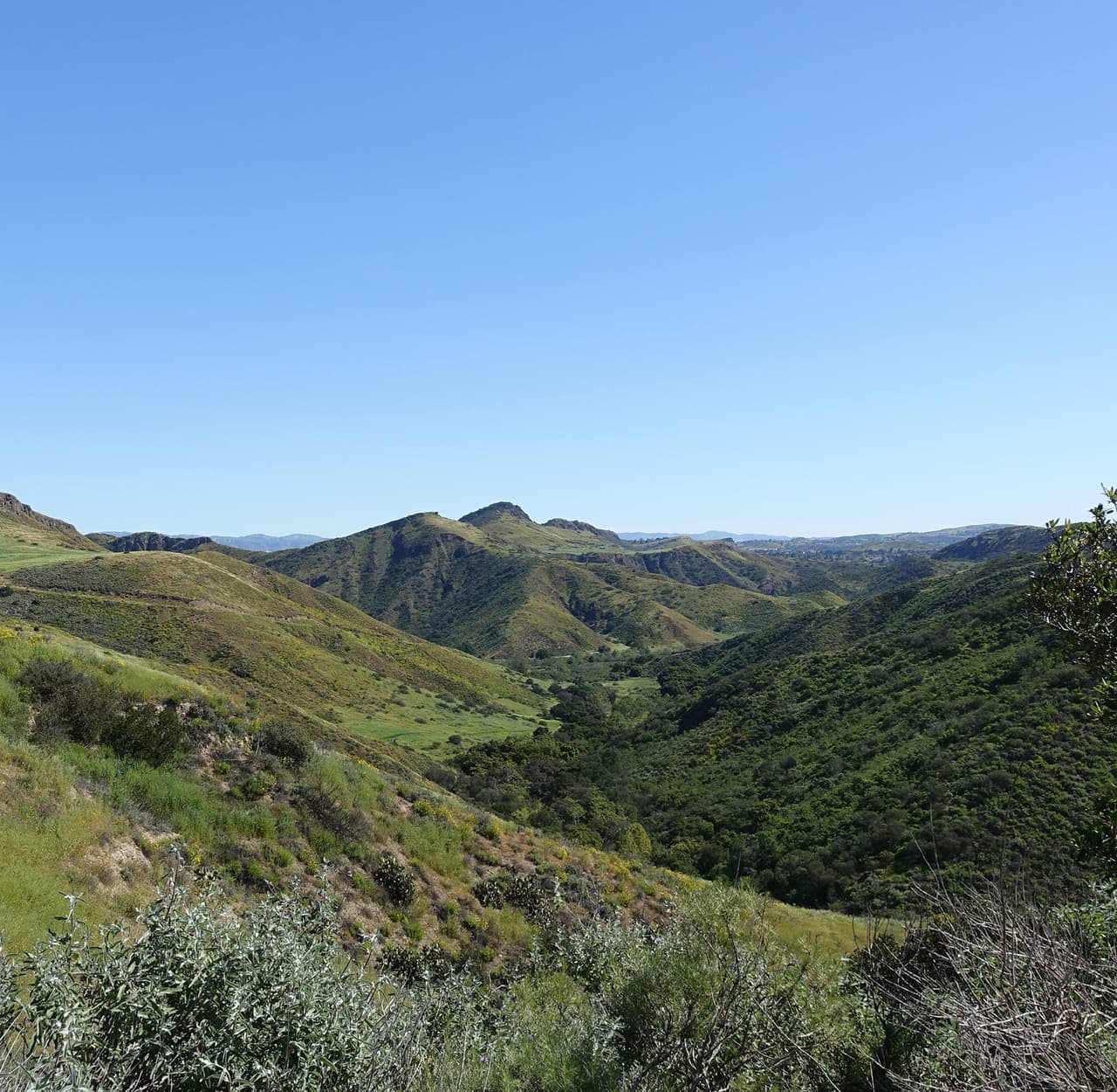 La medida se debe a la gran cantidad de visitantes durante el fin de semana, que además de no usar mascarillas, tampoco respetaron el mínimo de distanciamiento social en las rutas del sendero.