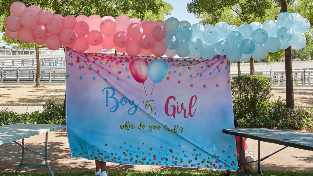Fiesta gender reveal