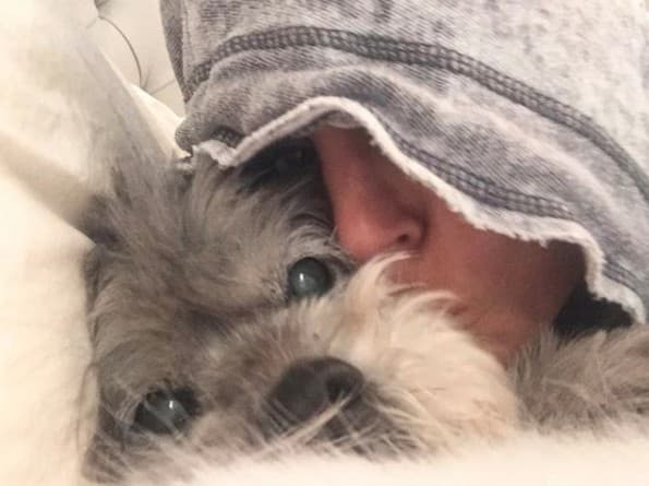 La actriz y filántropa estadounidense Bethenny Frankel lloró como a nadie por su perra Cookie. "Mi primer bebé peludo. Espero que tu próxima vida sea tan hermosa como esta que compartimos durante 17 años... Te veo en el otro lado, mi amor".