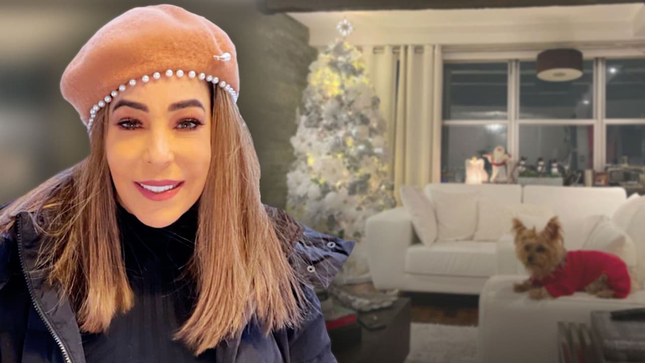 Gelena Solano se vio forzada a quitar su árbol navideño antes de tiempo y explicó la triste razón