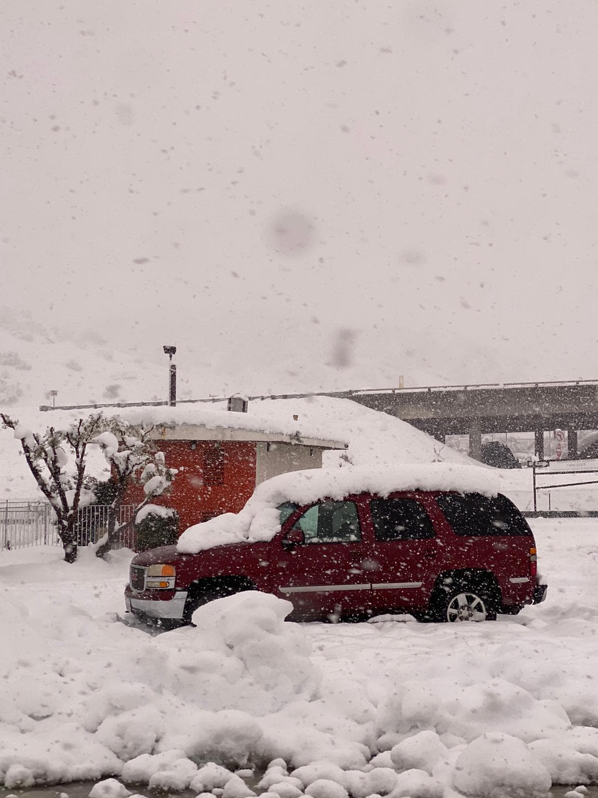 En las comunidades cercanas a Tejón Pass la nieve tuvo acumulaciones de hasta 16 pulgadas.