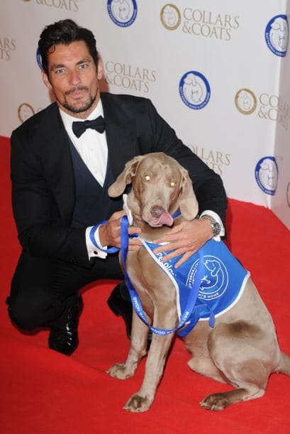 Y por eso apoya a muchas beneficencias a favor de los animalitos. Mira aquí más videos de Chismes.