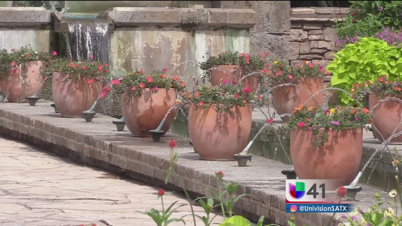 Embellece el jardín de tu casa de una forma muy sencilla