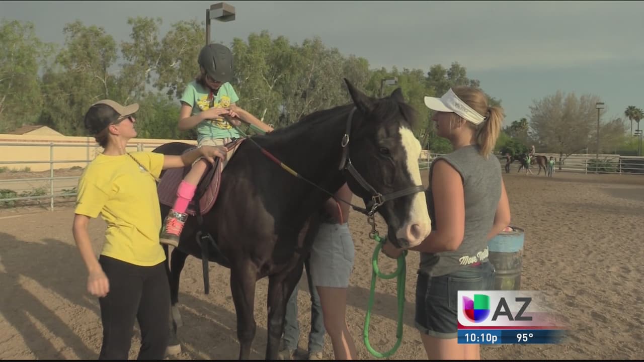 Equinoterapia: el uso de caballos para rehabilitación