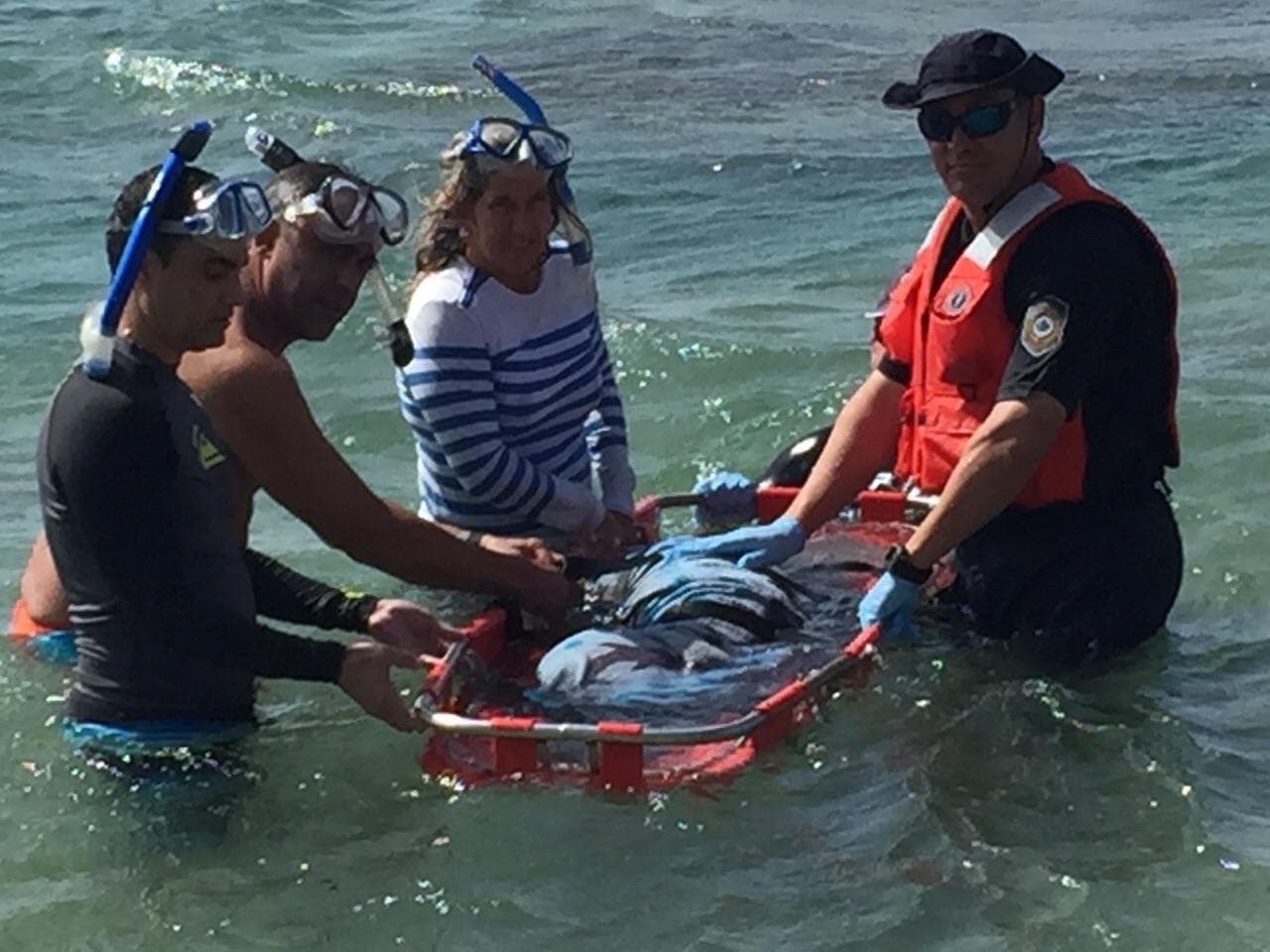 Multan a hombre que molestó a un manatí y su cría 