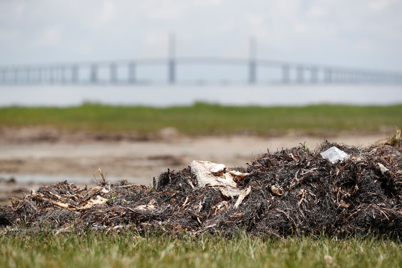 El problema podría afectar el turismo en el área este verano.