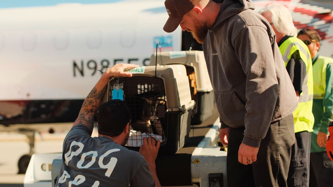 <b>🏠 ¿Quieres adoptar?</b>: ¡Este es el momento perfecto para dar un hogar a una mascota rescatada! Ven a los eventos de adopción
<b> </b>que se celebrarán en 
<a href="https://maps.app.goo.gl/KNStc4FWSrmx1jjh7" target="_blank">Saxe-Forte Adoption Center </a>, del 
<b>24 al 26 de enero</b>, de 
<b>12:00 p.m. a 6:00 p.m. </b>Allí, muchos de estos animales estarán listos para encontrar su hogar definitivo 🐾❤️