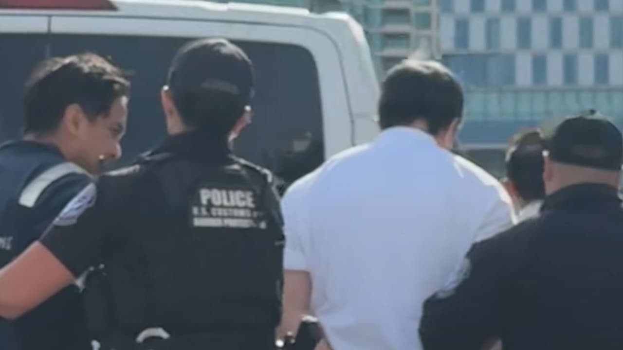Operativo migratorio en San Diego: detienen a tripulación de crucero de Disney