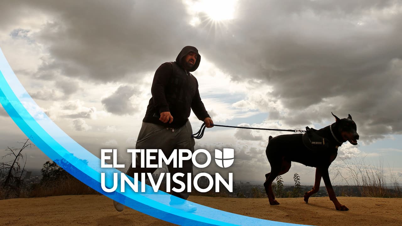 Actualización del tiempo: Viernes Santo en Chicago con temperaturas frescas, vientos y cielos parcialmente nublados 
