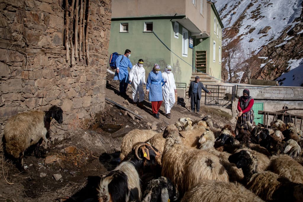 La 
<a href="https://www.univision.com/temas/organizacion-mundial-de-la-salud">Organización Mundial de la Salud</a> (OMS) ha argumentado que debe haber un enfoque coordinado para garantizar que todos, no solo las personas que viven en países ricos, reciban la inmunización contra el virus, ya que se propaga rápidamente y ningún lugar estará a salvo mientras todo el mundo no esté vacunado.