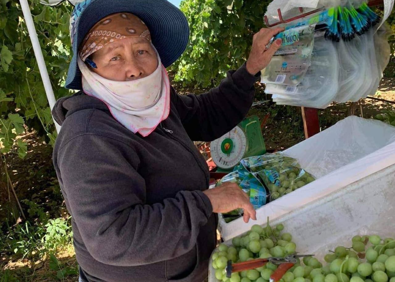 <b>Ella es doña Julia, tiene 65 años</b>, y aún continúa trabajando en los campos a 100ºF. Una publicación del 17 de agosto de la UFW revela que ella aconseja a los demás que 
<b><a href="https://twitter.com/UFWupdates/status/1295495980087992321/photo/1" target="_blank">"se eduquen y planifiquen su futuro" </a></b>