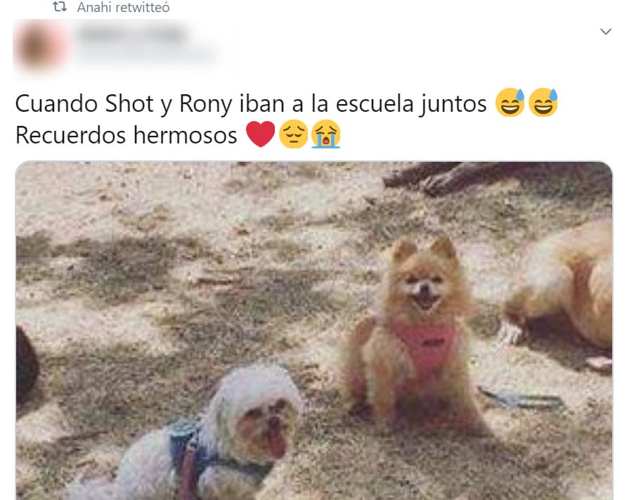 "Cuando Shot y Rony iban a la escuela juntos. Recuerdos hermosos", decía el 
<b><a href="https://twitter.com/AnahiBreatheUSA/status/1282161055393882115" target="_blank">pie de la foto</a></b> que le hizo llegar una seguidora. 
<br>