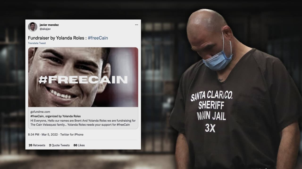 Desde su arresto, peleadores de la UFC, celebridades y seguidores han impulsado una campaña en redes sociales bajo el hashtag #FreeCain, argumentando que la persona que debería estar tras las rejas es el presunto agresor de su hijo, Harry Goularte Jr.