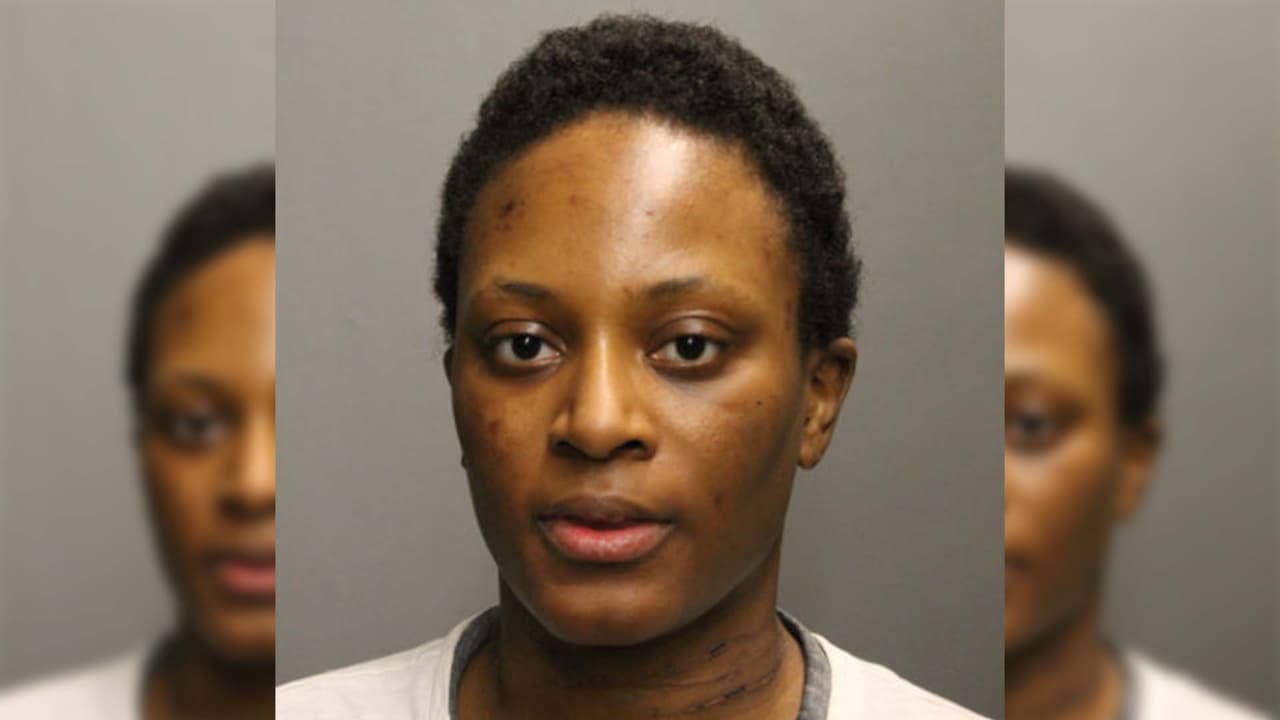 Arrestan a sospechosa por herir a puñaladas a dos mujeres mayores y matar a un perro