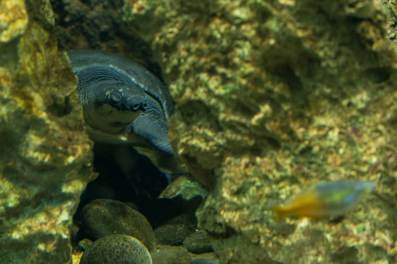 Un bello dia fue perfecto para las familias desde Bakersfield a Modesto.