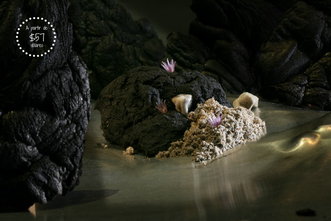 <a href="http://www.biko.com.mx"><b>Biko</b></a>
<br>¿Qué hacen tres chefs españoles cocinando en México con ingredientes mexicanos? Mikel Alonso, Bruno Oteiza y Gerard Bellver hacen "cocina gachupa", una combinación de técnicas e ingredientes en las que las cocinas de ambos países se integran de forma novedosa como el algodón de azúcar de foie gras. El menú de degustación de Biko tiene un precio de
<b> 57 dólares y en él se sirven 7 platillos.</b>
<br>
<br>
<br>