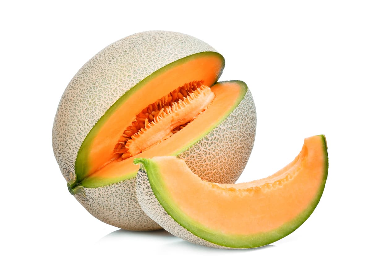 <b>Melón. </b>