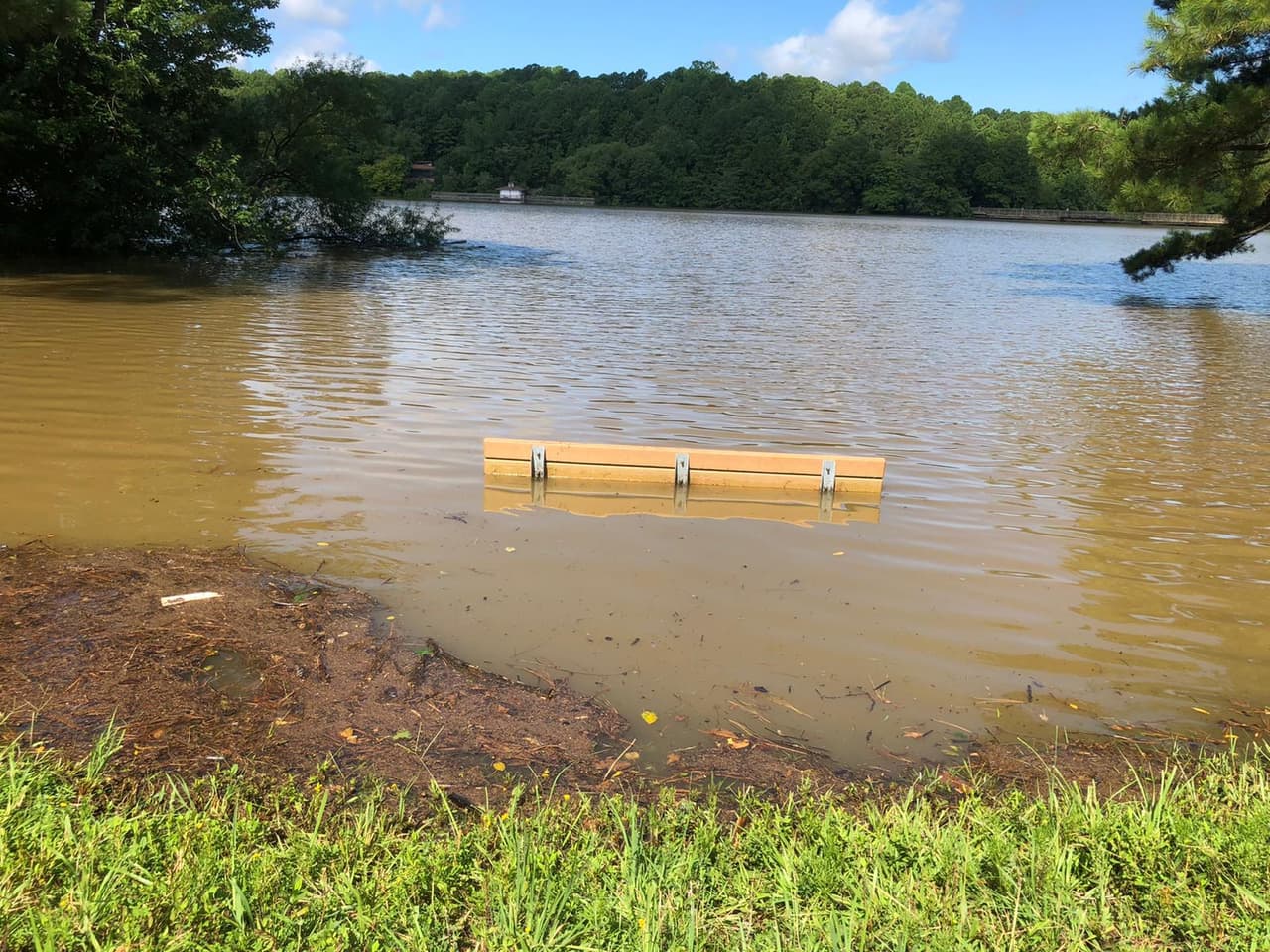 Las fuertes lluvias y ráfagas de viento dejaron múltiples ramas caídas en uno de los parques más concurridos de Raleigh.
