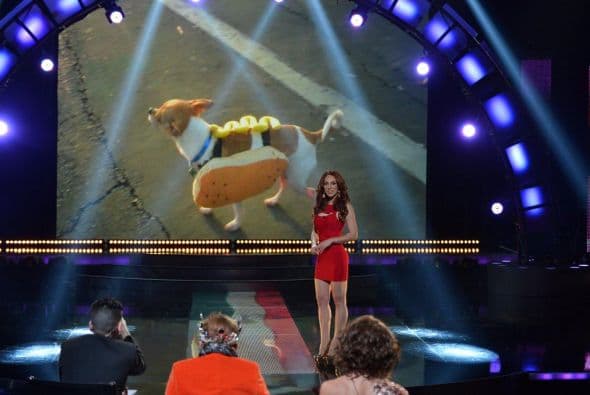 Esta mexicana de Texas busca convertirse en la octava reina para hacer de esta oportunidad una carrera exitosa como comunicadora.