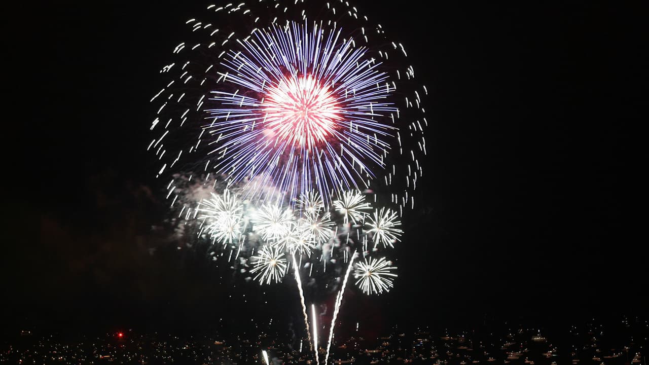 En Illinois comprar fuegos artificiales es ilegal. Antes de cruzar a Indiana, tenga en cuenta que la Ley de Uso Pirotécnico de Illinois prohíbe la venta, posesión y uso de fuegos artificiales de consumo. Una vez cruce nuevamente a Illinois, podría enfrenta hasta un año en prisión y una multa de $ 2,500.