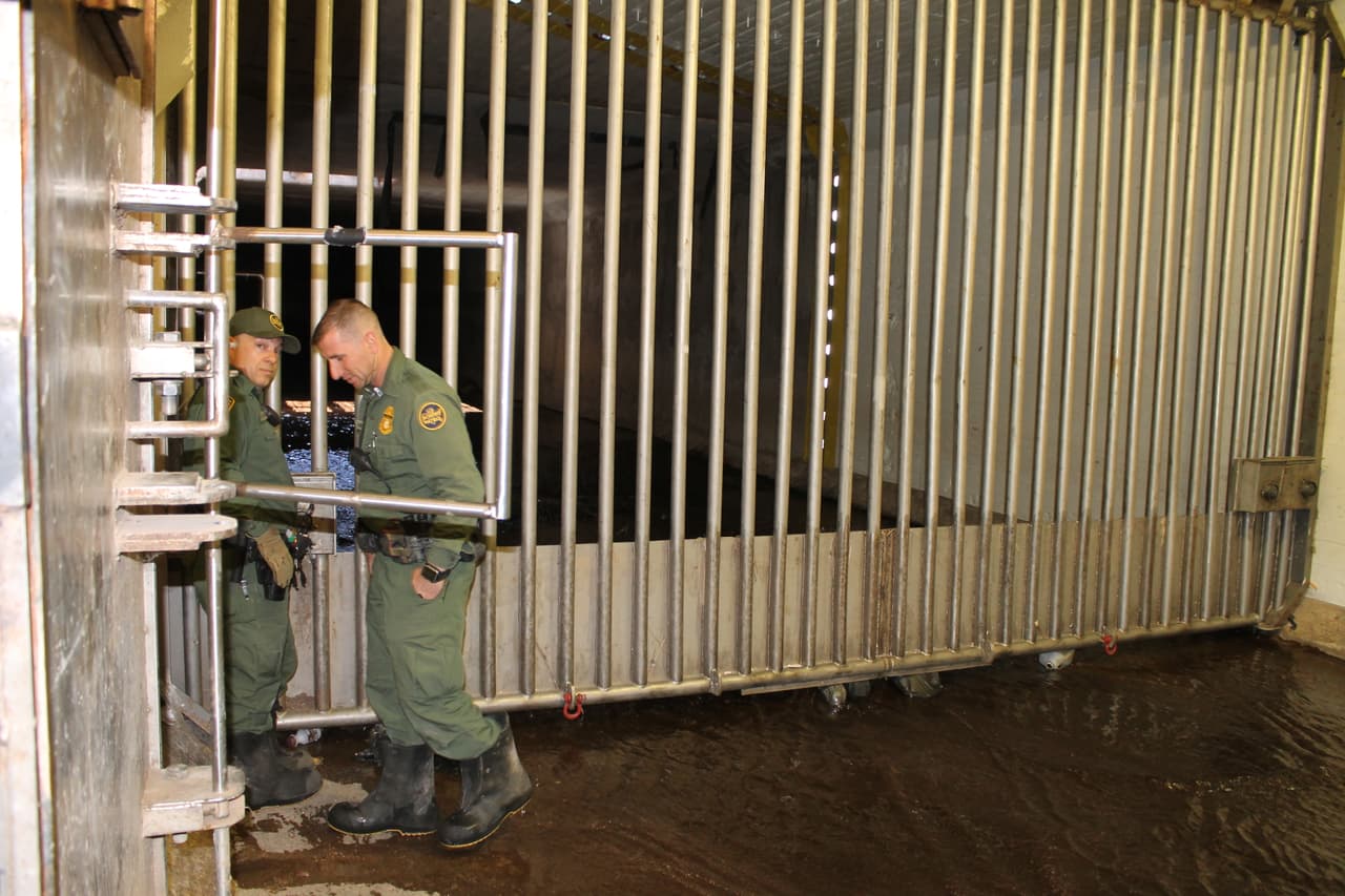 Unos agentes revisan la estructura subterránea para evitar el cruce de droga.