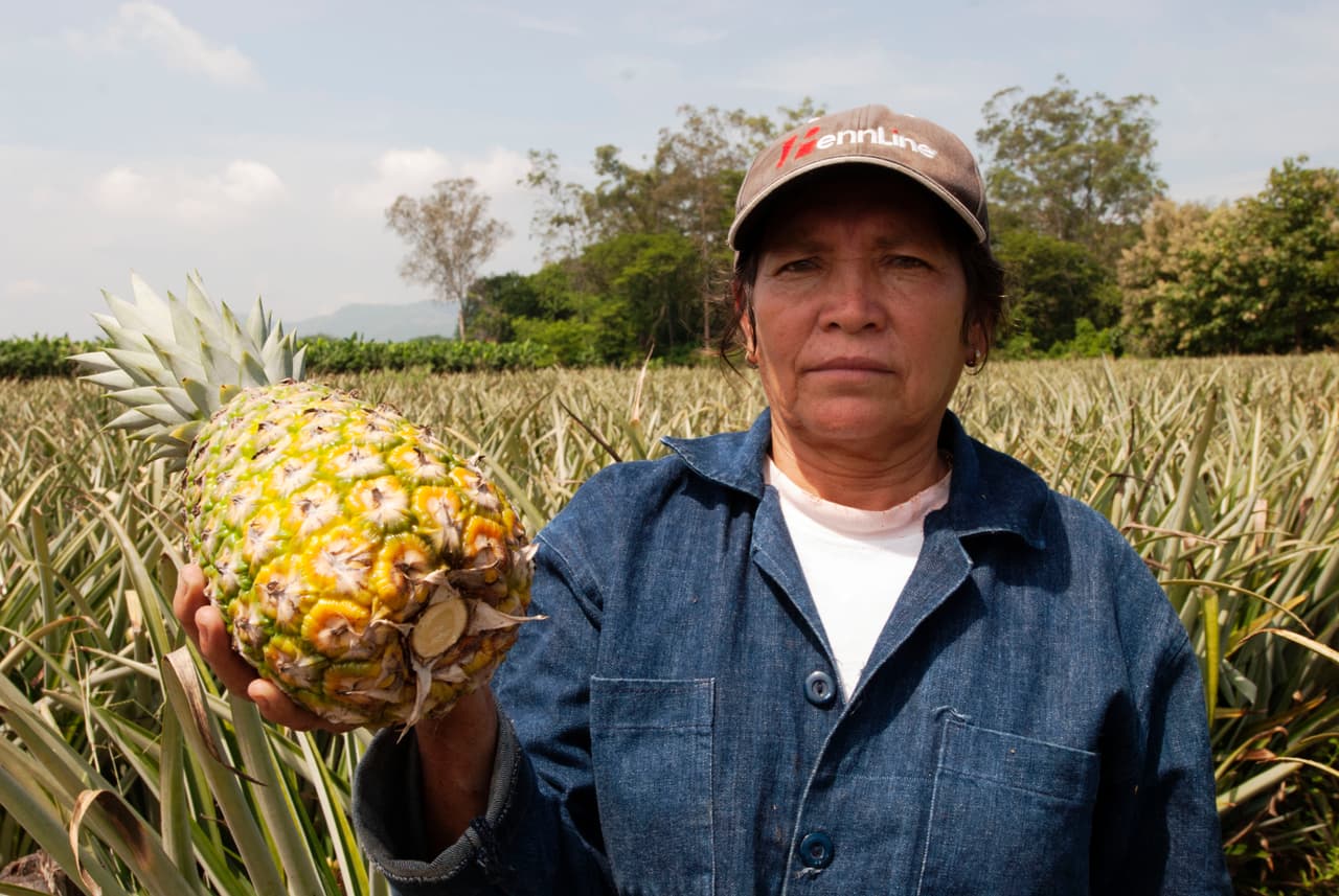 <b>9.Ananá y otros frutos diuréticos</b>
<br>
<br>La piña o ananá es un fruto rico en vitamina C y de consabidos efectos diuréticos, es decir, que estimulan la acción de filtrado de la sangre de los riñones. Así, se puede acelerar la expulsión del organismo de excesos de sales y azúcares. Otros alimentos diuréticos son: arándanos, sandía, kiwi, naranja, la papaya y el apio.