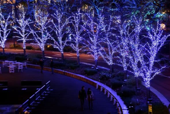 El ambiente navideño se respira en la ciudad de Tokio, Japón. Y es que si de decoración se trata la ciudad se lleva las palmas de oro con está magnifica iluminación.
