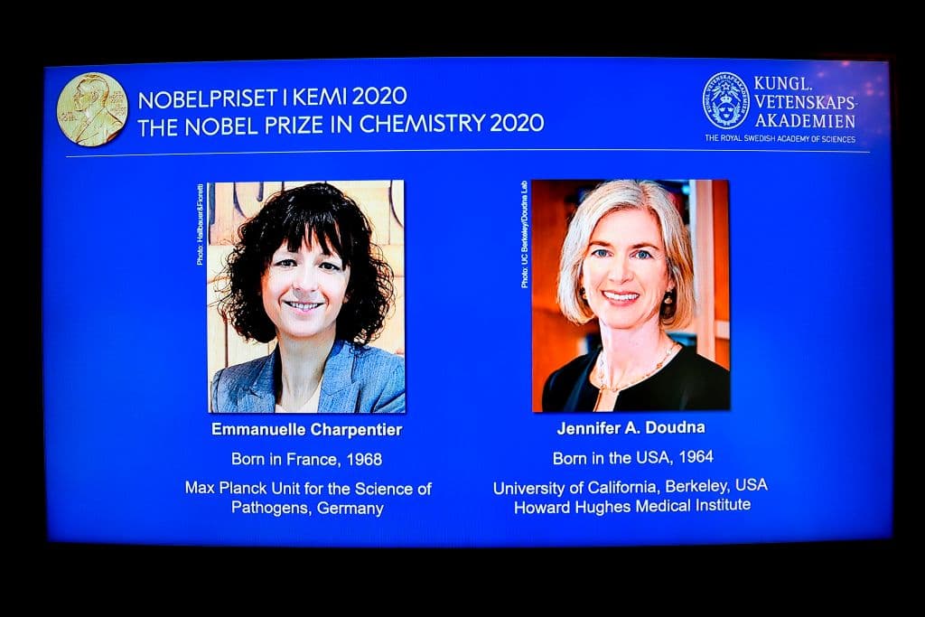 Emmanuelle Charpentier, de Francia, es investigadora en Microbiología, Genética y Bioquímica y Jennifer Doudna es una profesora estadounidense de Química y Biología Molecular y Celular.