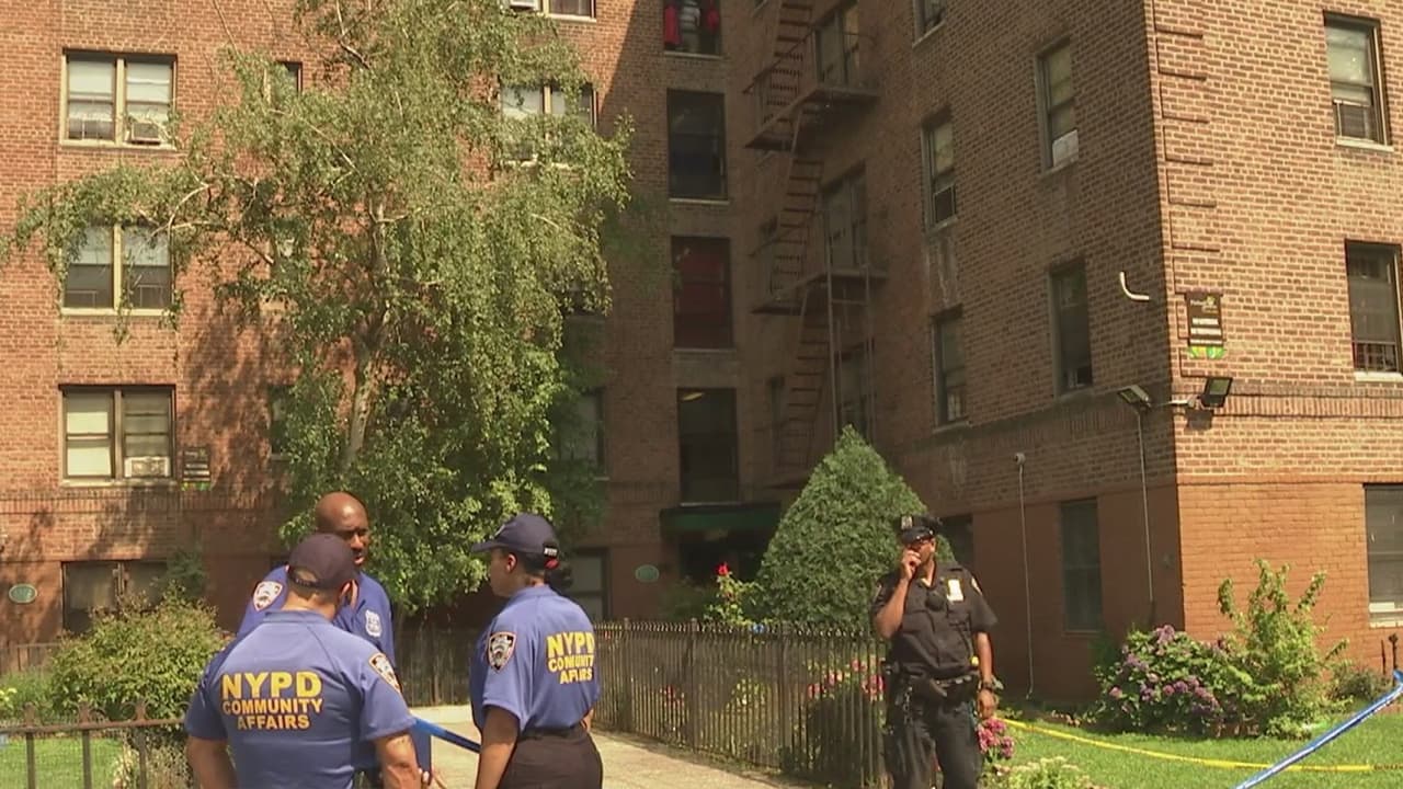 Un hombre "perturbado emocionalmente" es baleado por la policía en Brooklyn