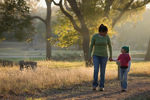 <b>Condado de Fannin </b> 
<br>Las actividades de recreación bajaron un 11% 
<br>
<br>En cuanto a la transportación hacia el trabajo, esto bajó un 25%