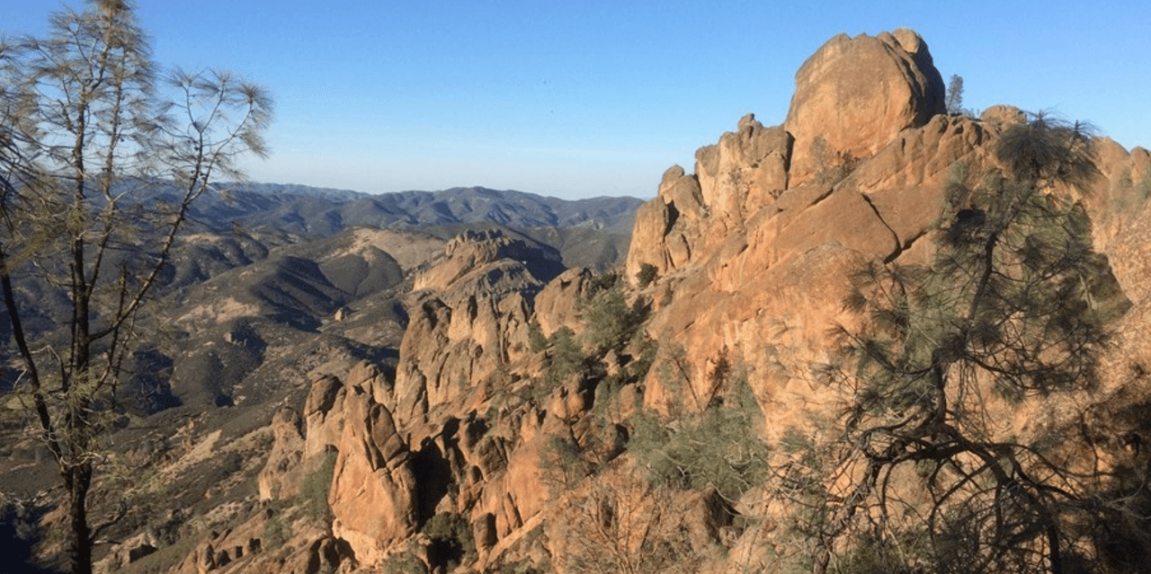<b>El Parque Nacional Pinaccles </b>se formó luego que múltiples volcanes hicieran erupción hace más de 23 millones atrás, dando lugar a un paisaje único, escogido por los amantes del hiking o el excursionismo. Ubicado muy cerca de la ciudad de San Benito, los visitantes pueden apreciar chaparral, robles, cañones y el avistamiento de águilas y cóndores. La entrada cuesta 30 dólares por vehículo, la que te puedes ahorrar si decides visitar el Parque este sábado.
