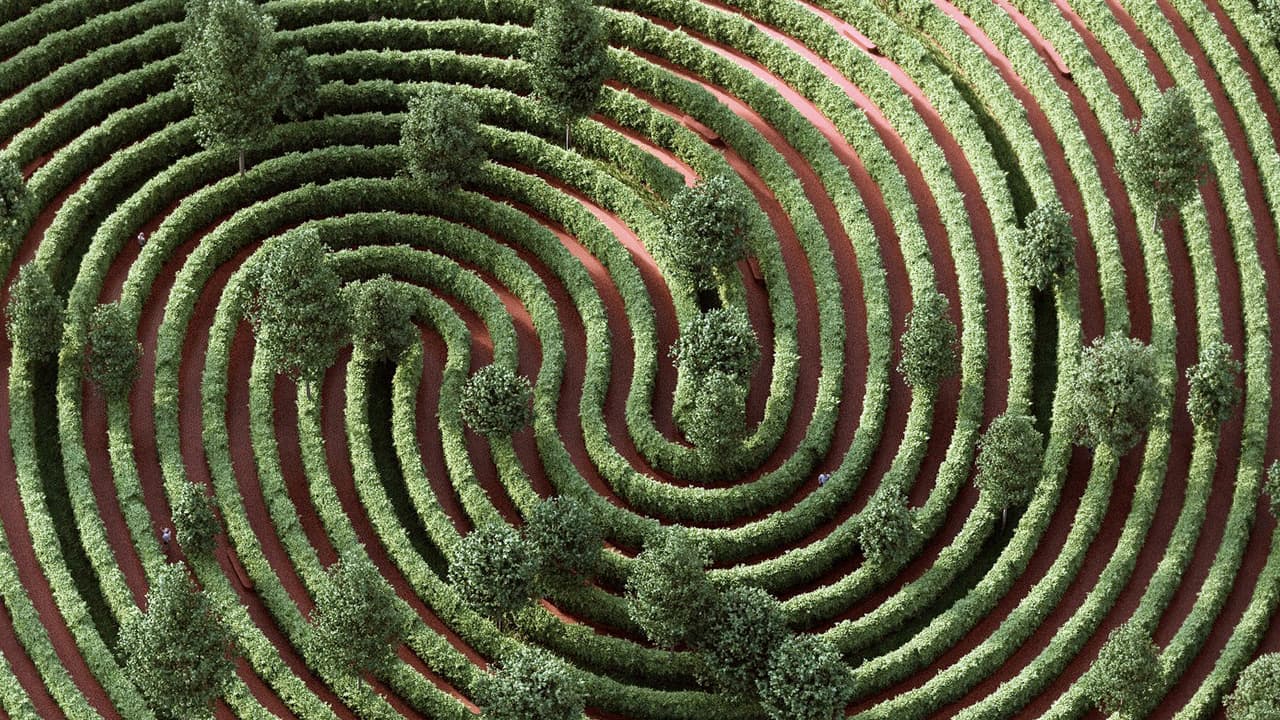 Los esposos y arquitectos Fei y Chris Precht se inspiraron en una huella digital para diseñar el ‘parque del distanciamiento’, un jardín público con la forma de un laberinto vegetal en espiral. Este trazado mantiene a los visitantes a una distancia de seis pies, la recomendada para evitar el contagio con covid-19. 
<i><a href="https://www.univision.com/noticias/salud/mapa-actualizado-del-coronavirus-cifras-de-casos-confirmados-y-fallecidos"><u>Vea aquí nuestro mapa actualizado del coronavirus: cifras de casos reportados, fallecidos y recuperados.</u></a></i>
<br>