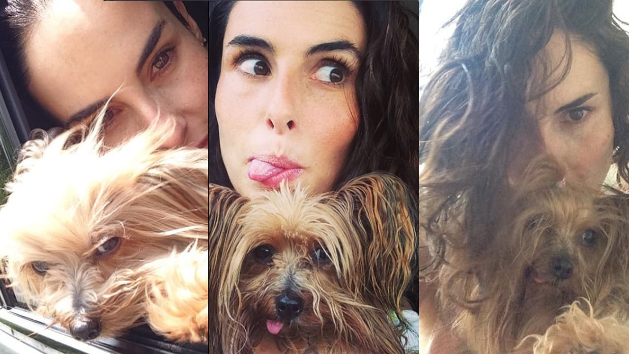 La bella actriz mexicana que encarna a Griselda Blanco en la serie ‘La Viuda Negra’ es una amante de los animales. Descubre a su pequeña mascota 'Carmela', la única que le roba el corazón.