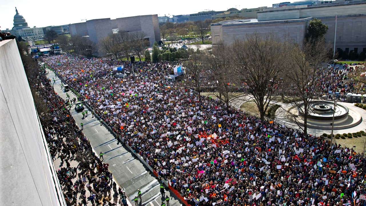 Más de un millón de personas se presentaron en la Marcha por Nuestras Vidas (March for Our Lives) el 24 de marzo de 2018 en Washington, DC, en protesta por la violencia con armas de fuego y tras la tragedia de Parkland, ocurrida el 14 de febrero de ese año y en la que murieron 17 personas.