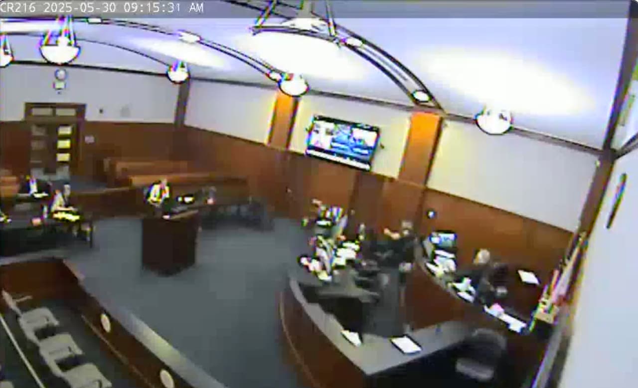 Captura de pantalla del video de la audiencia de corte en el Séptimo Circuito Judicial de Florida.
