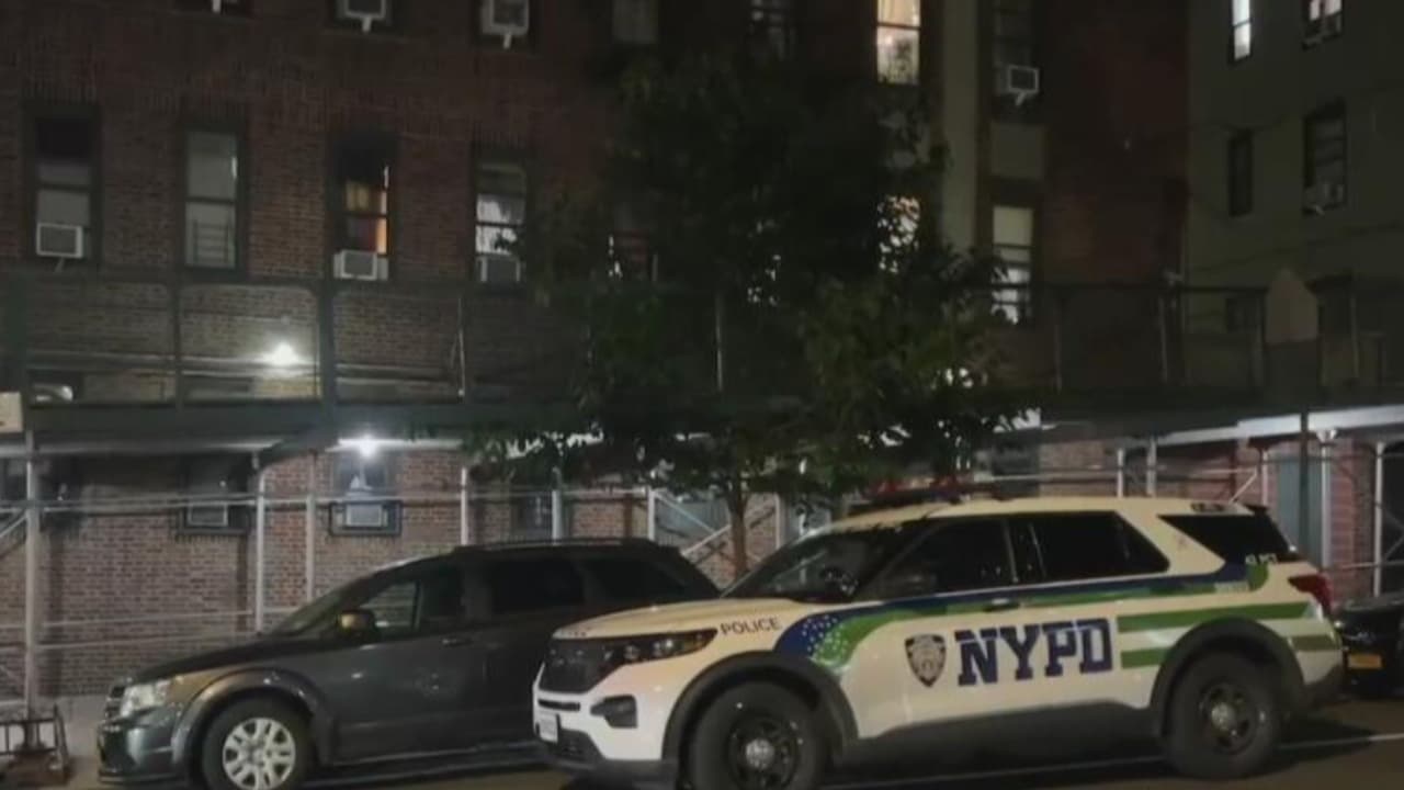 Investigan muerte de bebé de 11 meses en apartamento de El Bronx