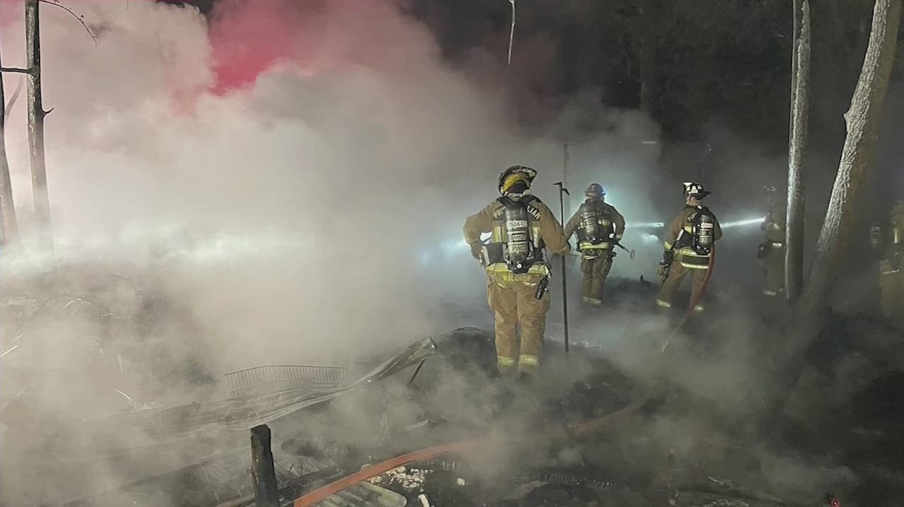 Más de 500 animales mueren por incendio masivo en granero de Gainesville