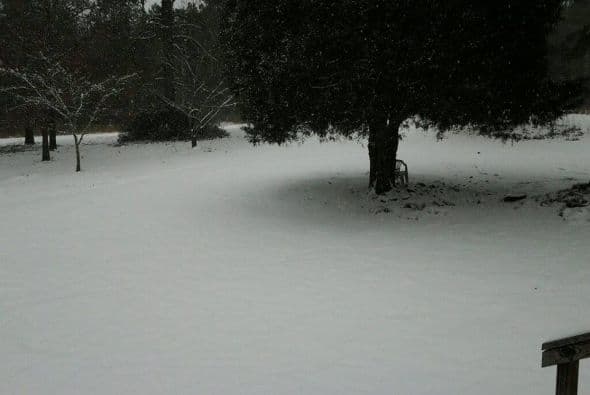 Lory Lory nos describe la difícil que es circular por la calle en Franklin, Georgia.