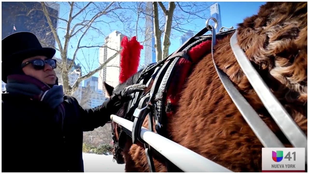 Hispano logra con carruajes y caballos cumplir su sueño americano en Nueva York