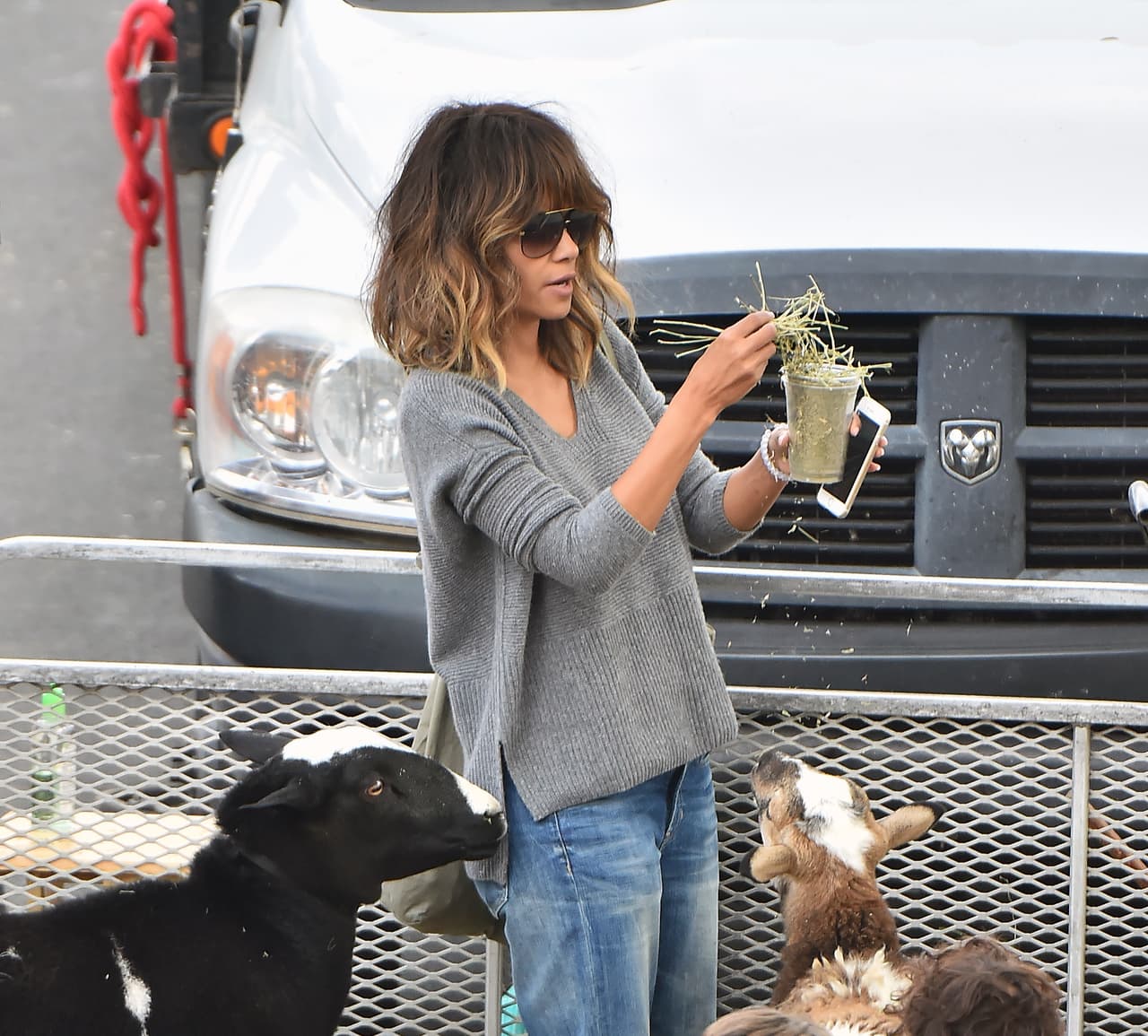 ¡Y parecía muy entretenida!