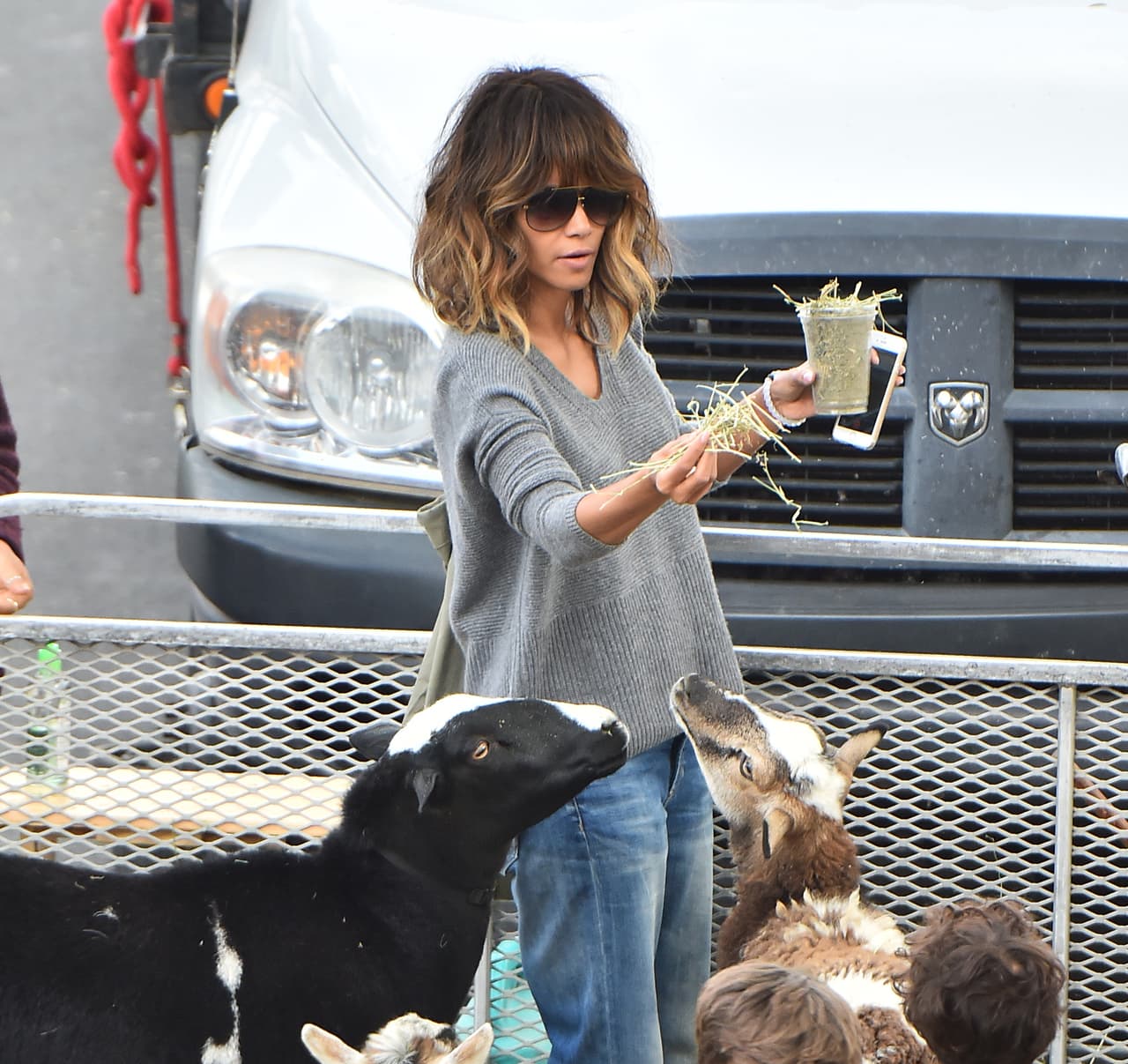 Halle le daba de comer a los tiernos borreguitos...