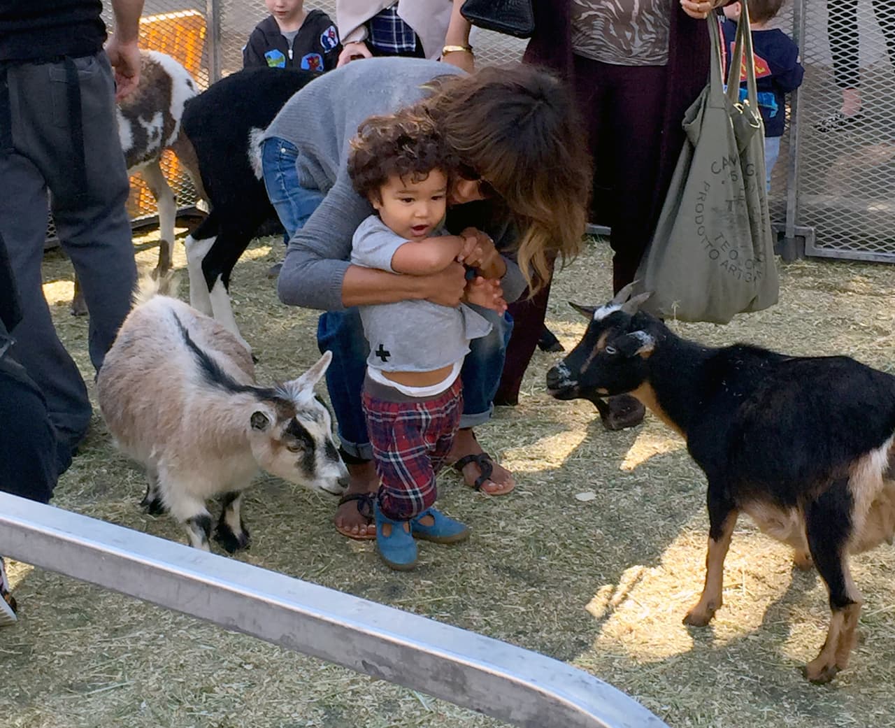 Halle Berry llevó a su pequeño hijo Maceo a conocer los animales de la granja, la selva y hasta del desierto.
