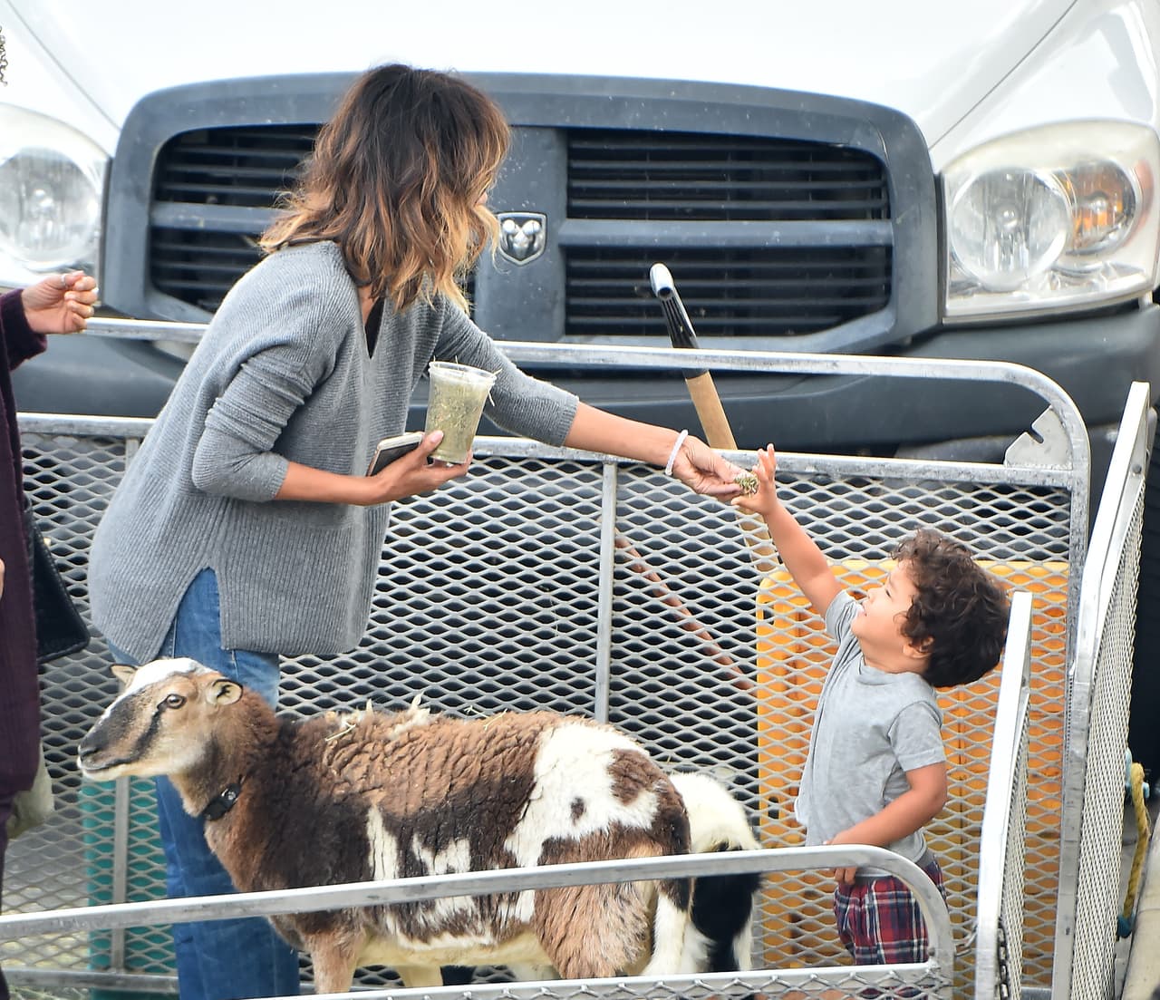 Ambos se divirtieron mucho.