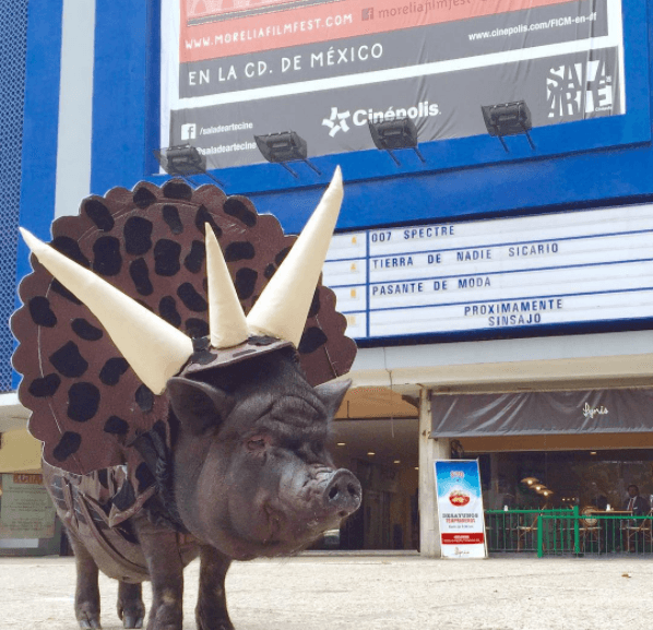 O sus increíbles outfits para ir al cine.