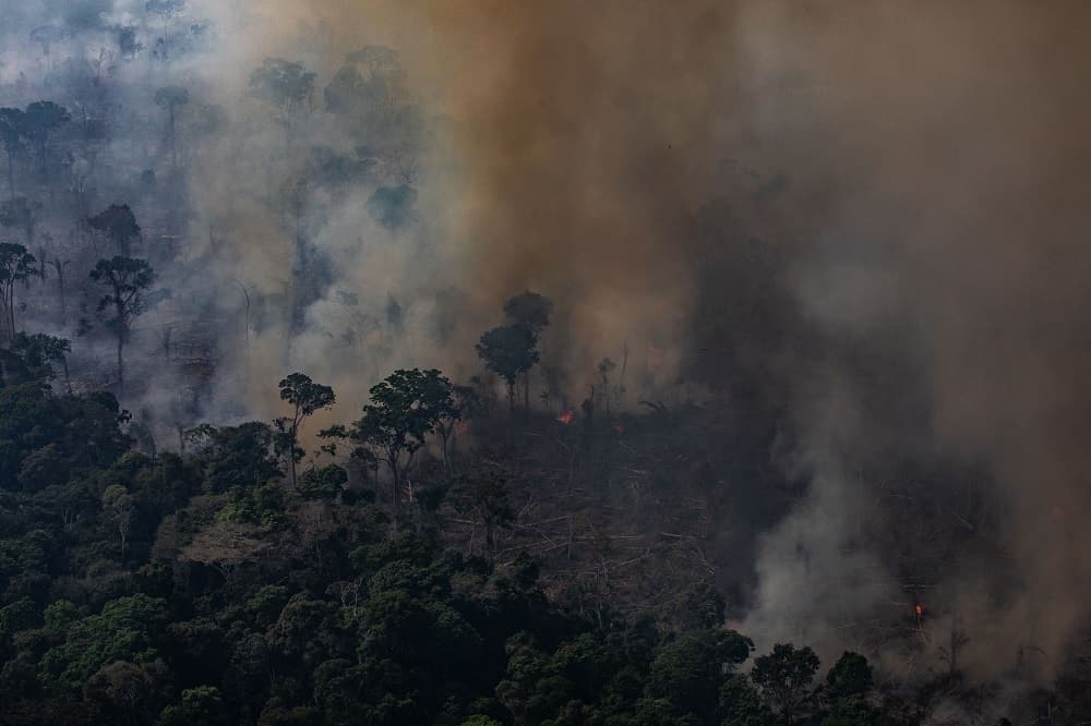 La gravedad de los incendios ha obligado a la comunidad internacional a actuar. Los líderes del G7 se pusieron de acuerdo este domingo en Francia en ayudar a los países afectados por los incendios en la Amazonía "lo más rápido posible".
