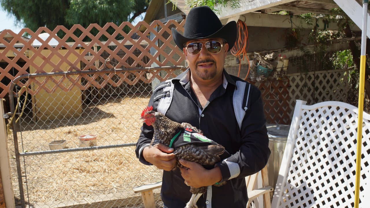 La Gallina Vidente llega al Gordo y La Flaca.
